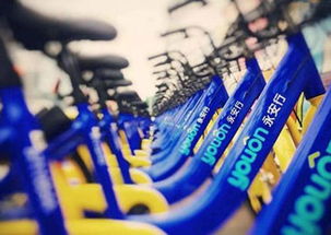 共享單車第一股上市在即 新銳品牌以廣告創新引領行業變革